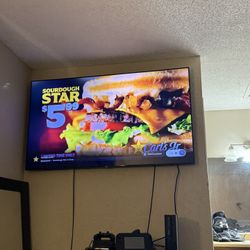 Samsung 65 Inch Tv