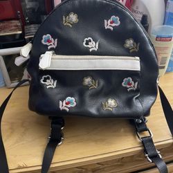 Backpack And Bag