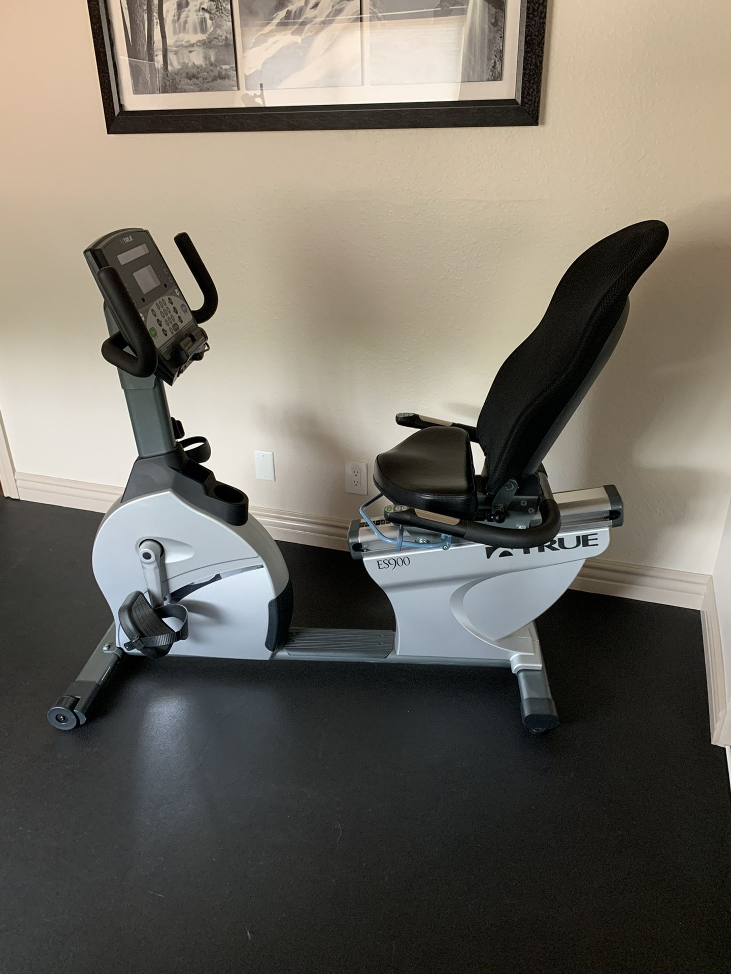 TRUE ES 900 Recumbent Bike