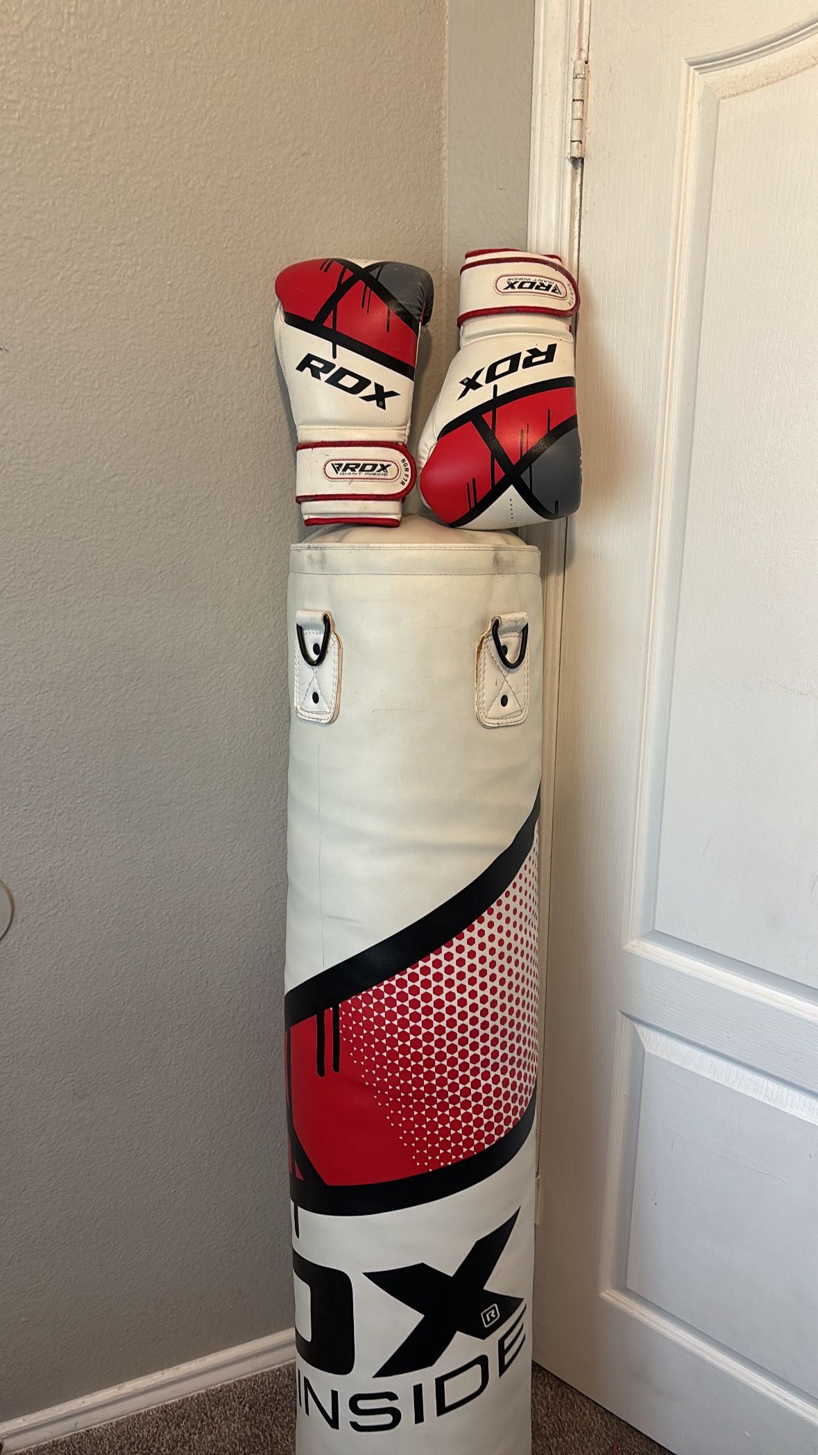 Boxing Gloves / Punching Bag