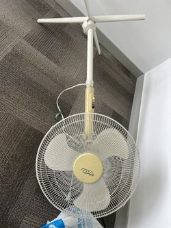 Fan