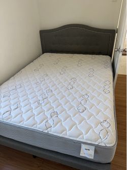 Queen bed $80 or OBO