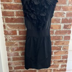 Bebe ruffle front dress.