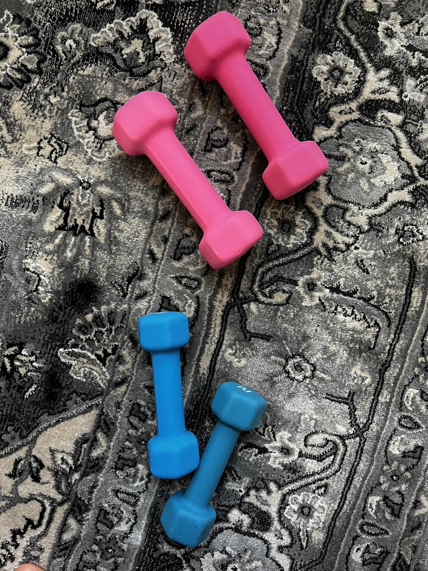 Dumbbells Weights Set Of 2 And 3 Lbs