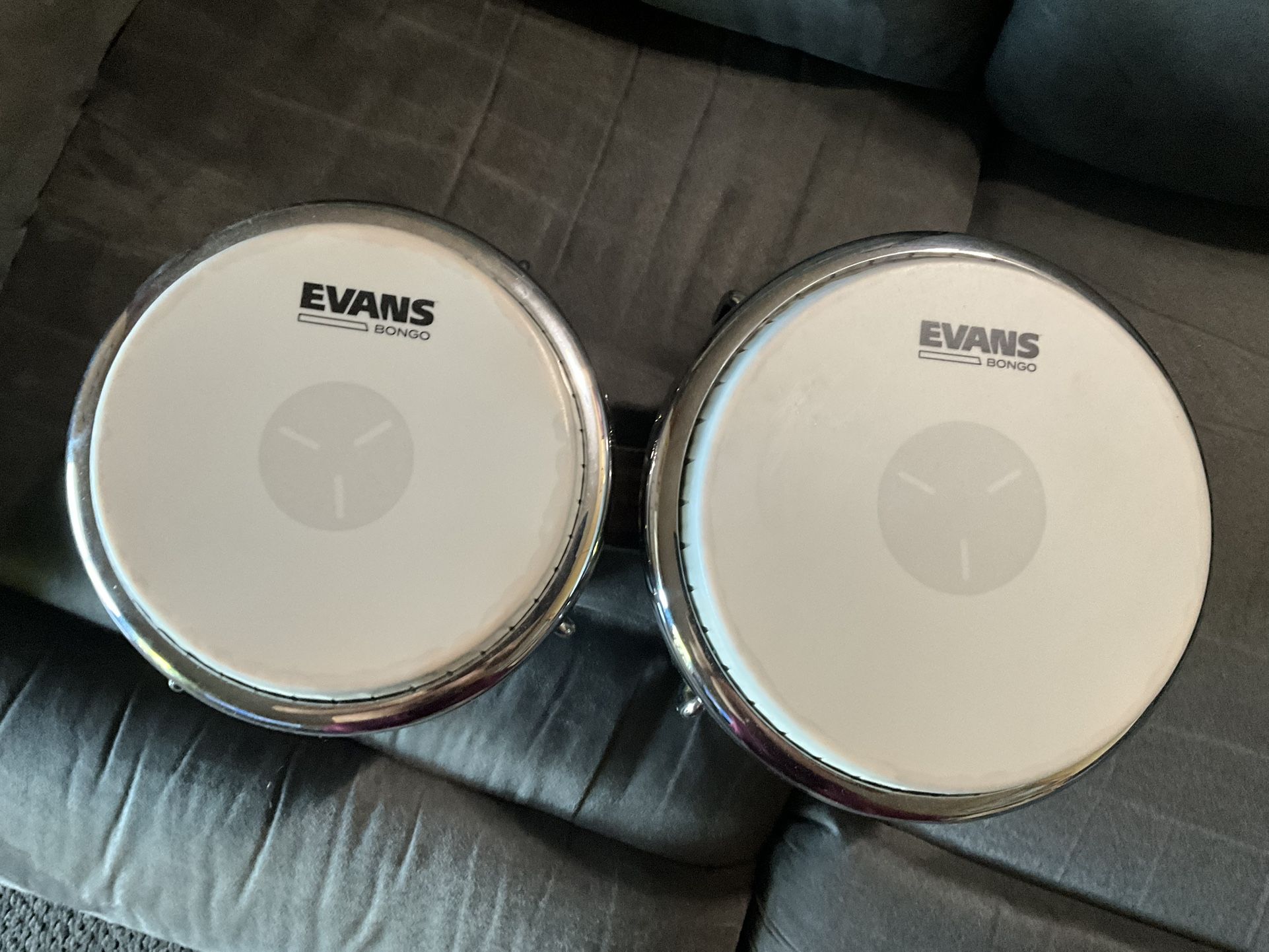 LP Bongos