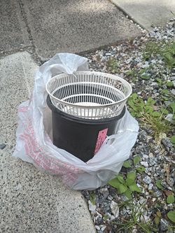Free black plastic flower pot and white flower screen stuff