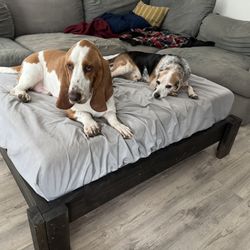 XL Custom Dog Bed Frame + Mattress – Sturdy & Stylish!