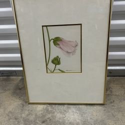 framed art print of Turbinate Bell-Flower 