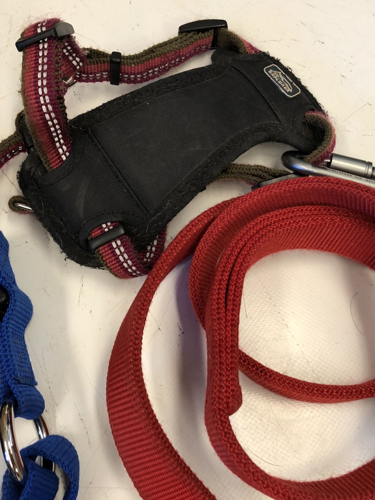 Bag Of Dog Leash, Harness, Collars