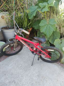 Kids Bicycle