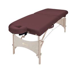 Earthlite massage table  and a free massage table warmer included