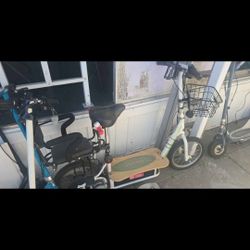 Ecosmarr Scooter 48v