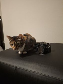 Ricoh Xr7 Camera With 50mm Lens 