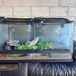 ZooMed Reptile Terrarium And Accessories 