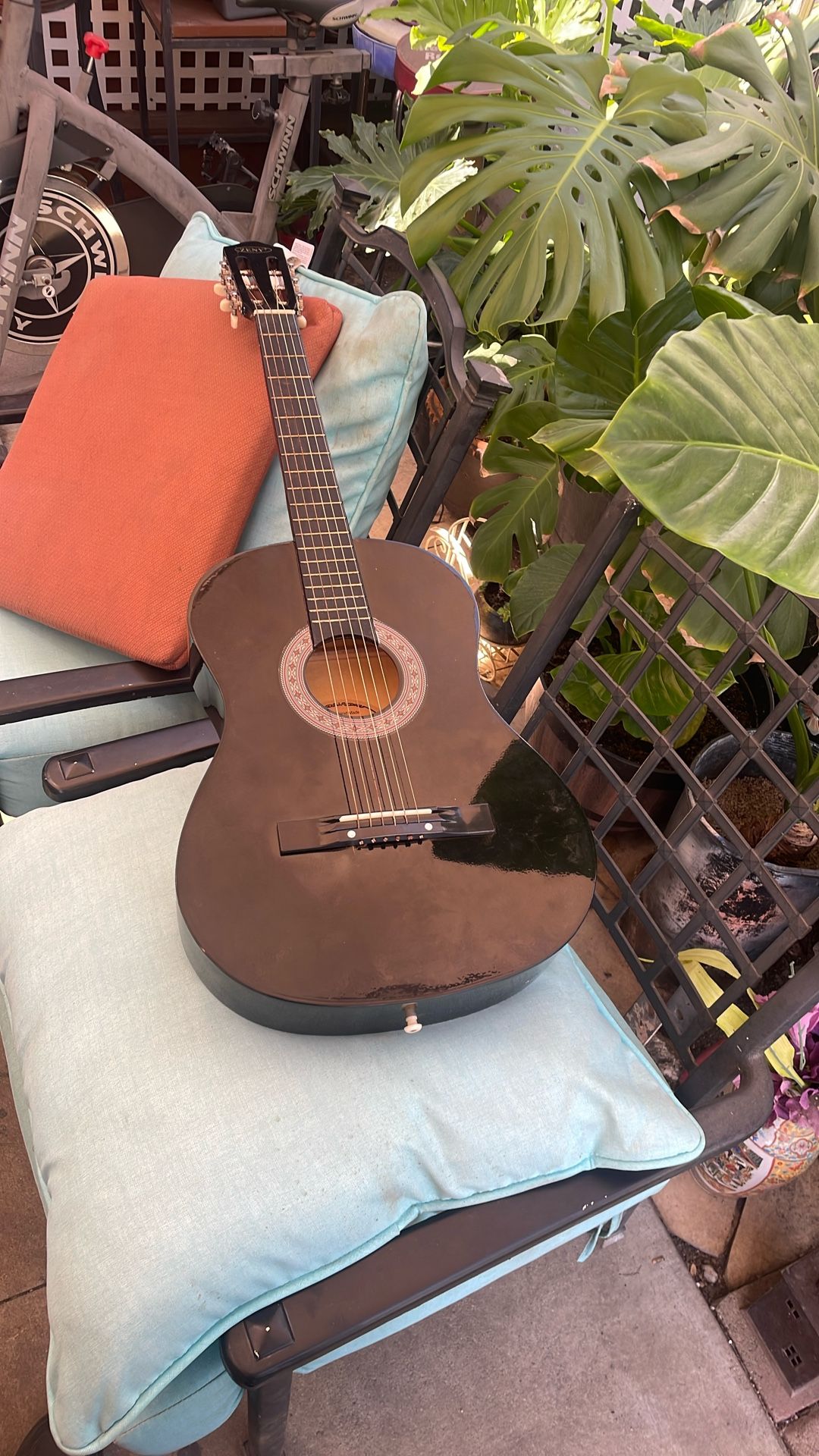 Acoustic Guitar