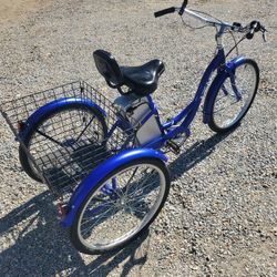 Adult Electric Tricycle