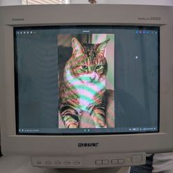 Sony Trinitron Multiscan 200ES CRT monitor