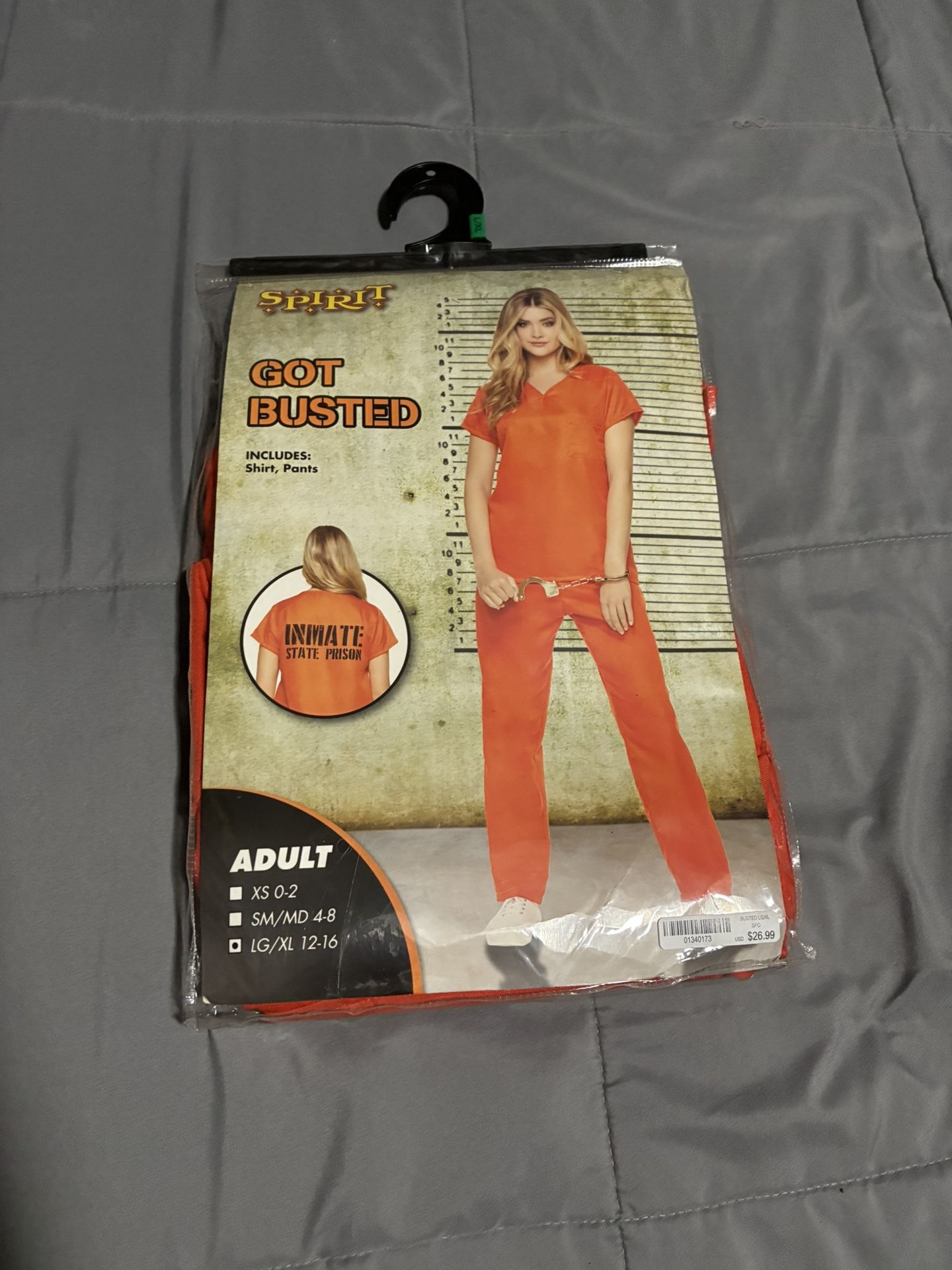 Adult Prisoner Got Busted Halloween Costume