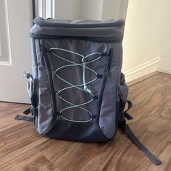 Backpack Insulated Cooler 