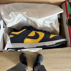 Nike Dunk Low Michigan Sz7