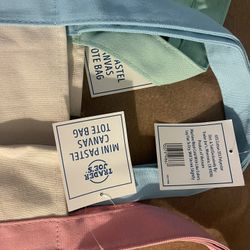 Trader Joe Mini Tote