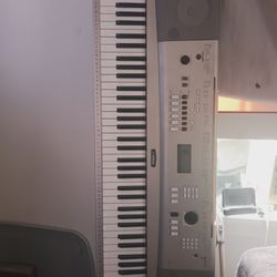 Piano / Keyboard / I Don't Know What Else It Does