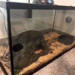 55 Gallon Glass Terrarium 