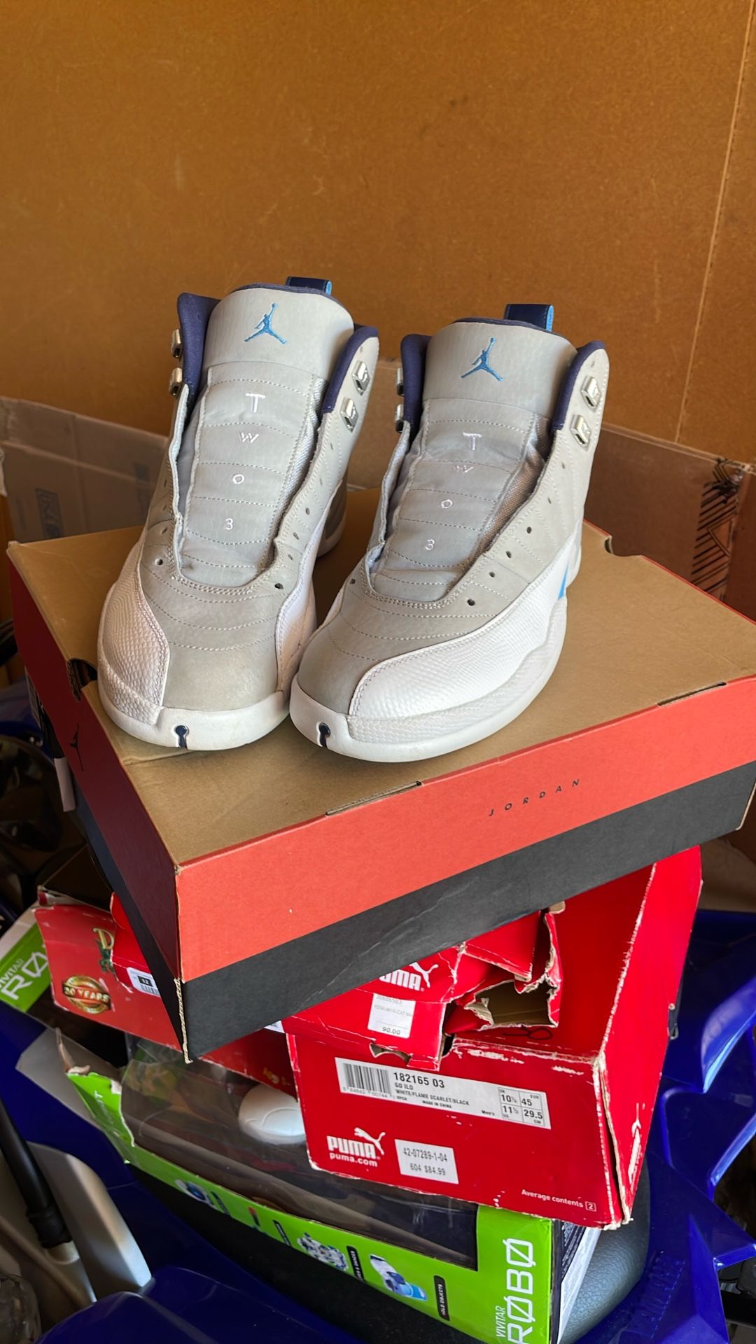 Air Jordan Retro 12 Get/university