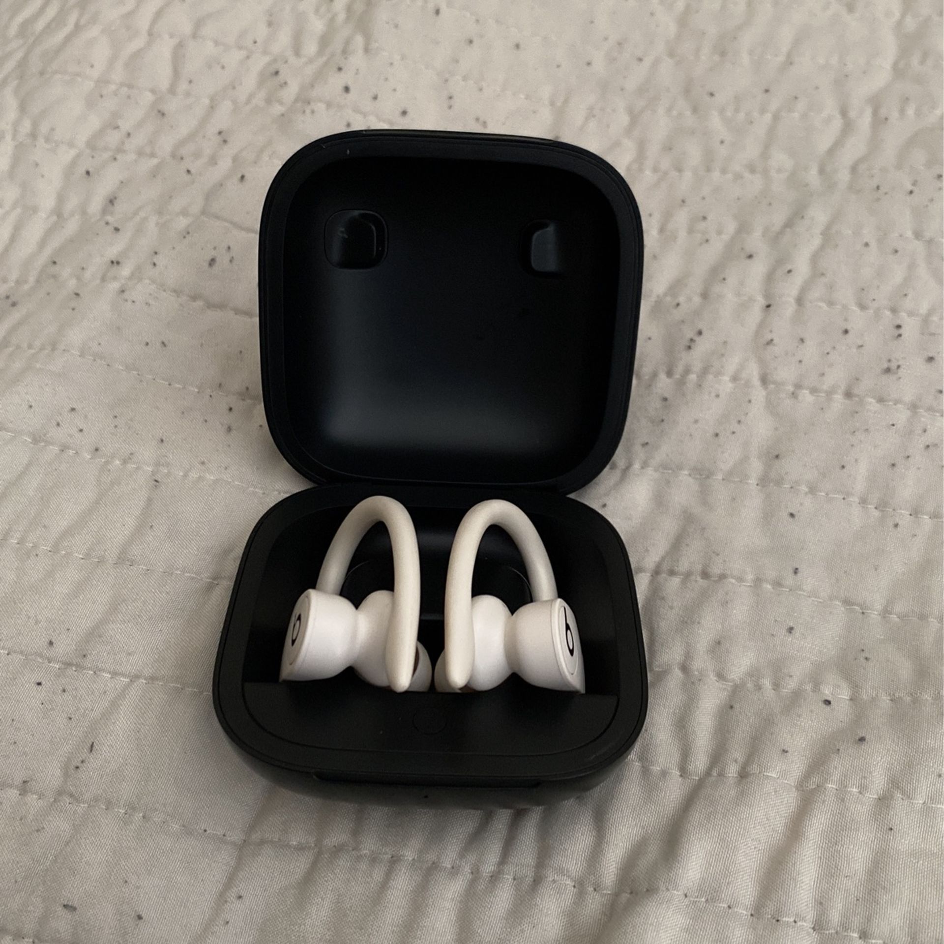 Apple Powerbeats Pro