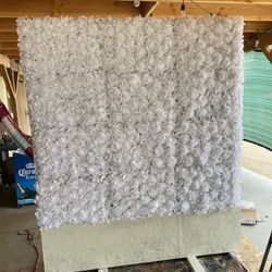 Backdrops