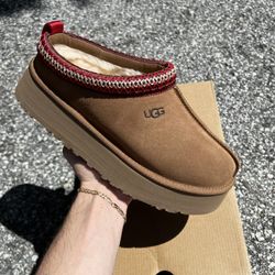 UGG “TAZZ” Slipper 
