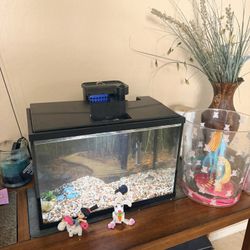 5 Gallon Fish Tank 