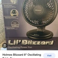 HOLMES BLIZZARD 8 Inch Grow Tent Fans 