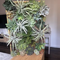 Pottery Barn Faux Succulent Wall