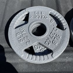 Six 5lbs Weights. New