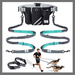 Double Dog Walking Leash Belt