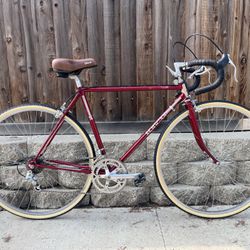 1984 Schwinn Traveler