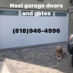 Garage Door/ Springs / Motor/ Noel 