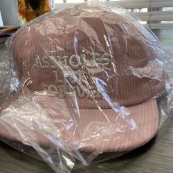Assholes*s Live Forever Corduroy Snapback Pink Hat Cap Linda Finegold