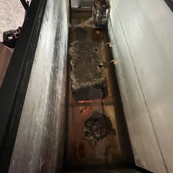 Red Ear Slider Turtles And Tank