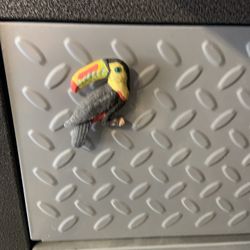 Toucan magnet