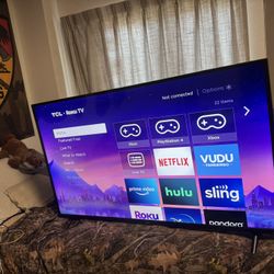 Roku Tv 55in