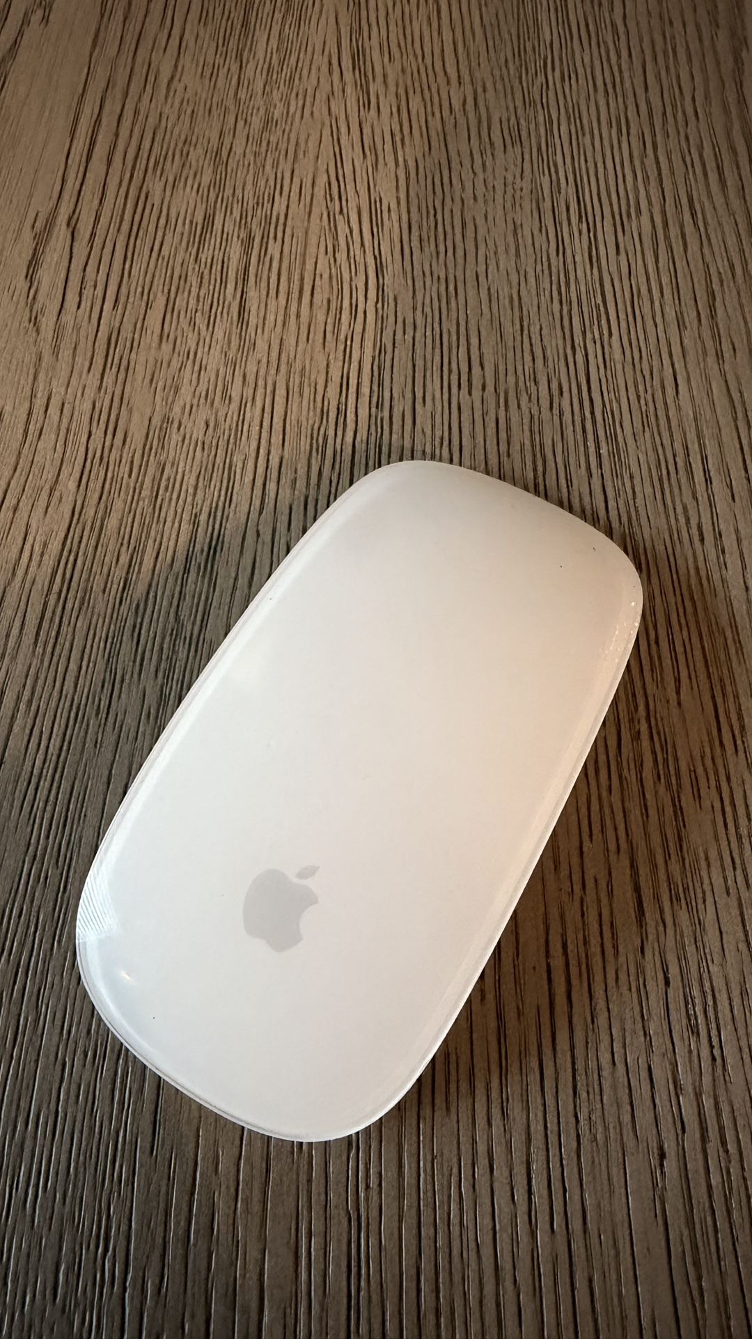 Apple Mouse & Charger