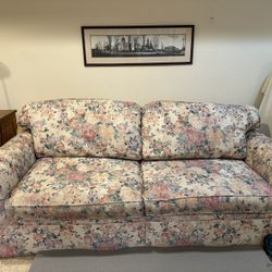 Sofa with Pull Out bed