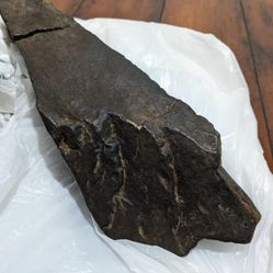 Red Earth Bird Effigy