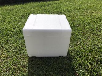 Ice chest with 2 ice packs