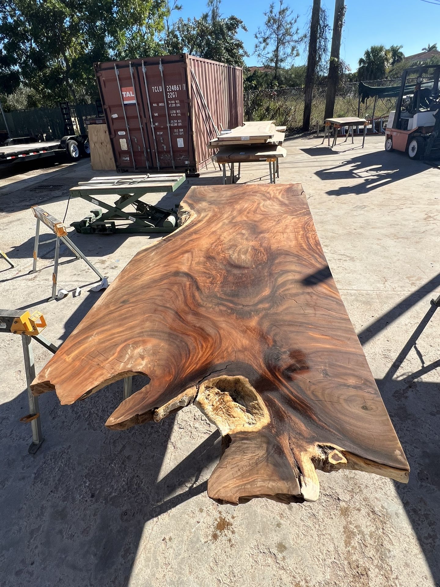 Amazing Live Edge Slabs ~ Please Read Description !!