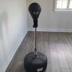 Everlast Core Reflex Bag