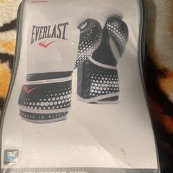 Everlast Boxing Gloves