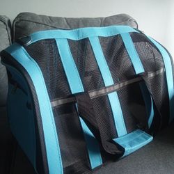 Bolso Y Correa Para Perrito 🐕🐩